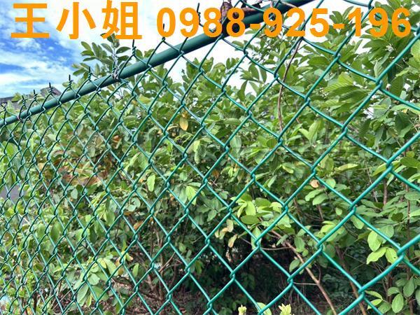 桃園大園農地-3