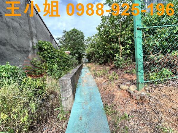 桃園大園農地-5