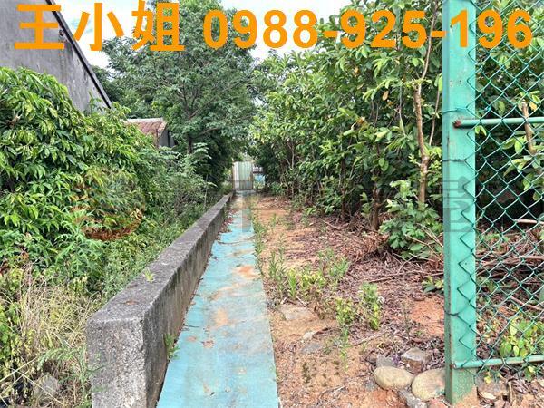 桃園大園農地-6