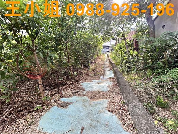 桃園大園農地-8