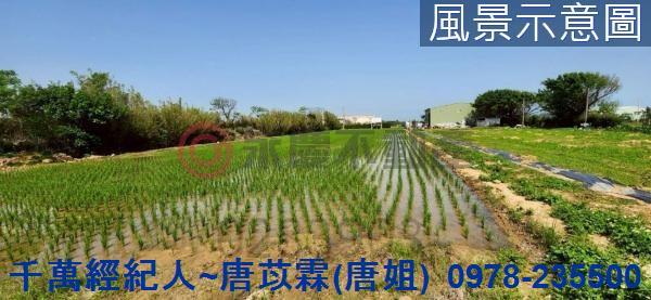新竹新豐農地-1