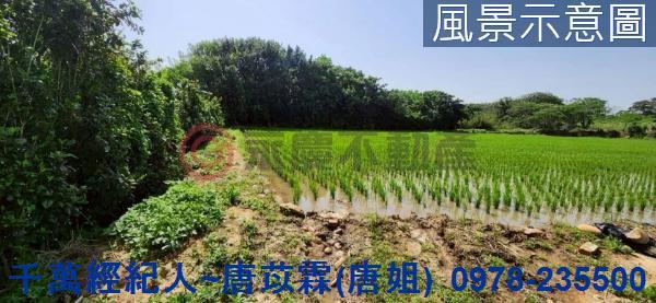 新竹新豐農地-2