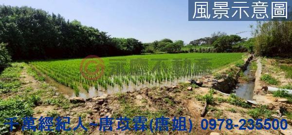 新竹新豐農地-3