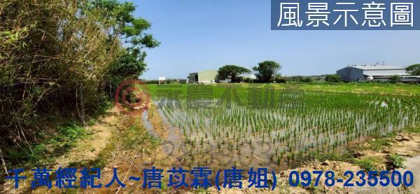 新竹新豐農地-4