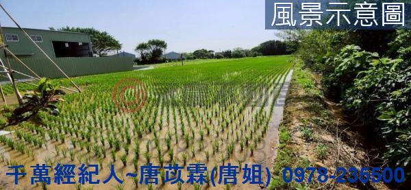 新竹新豐農地-5