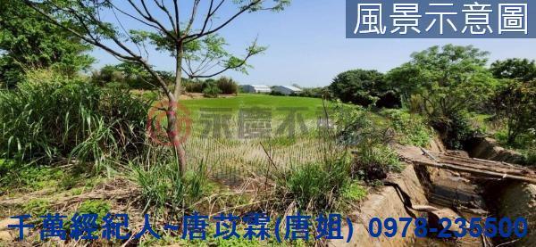 新竹新豐農地-7