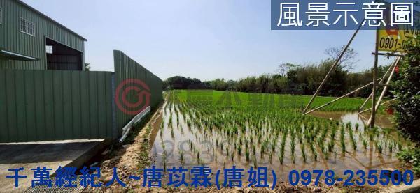 新竹新豐農地-8