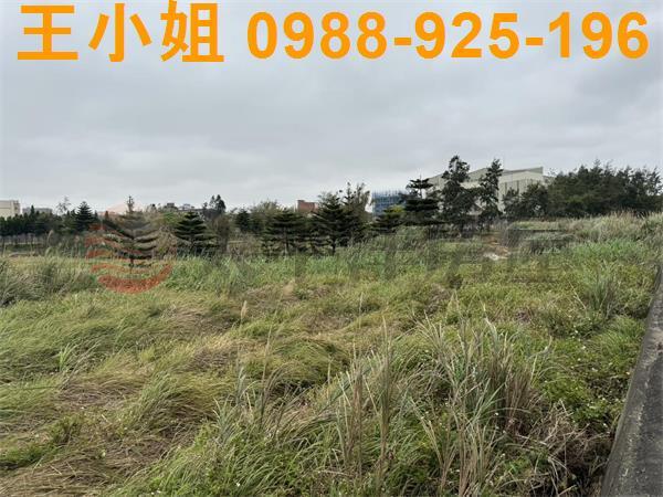 大園農地-11