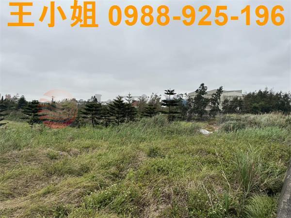 大園農地-12