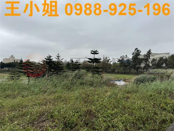 大園農地-13