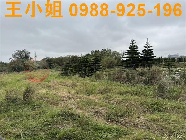大園農地-14