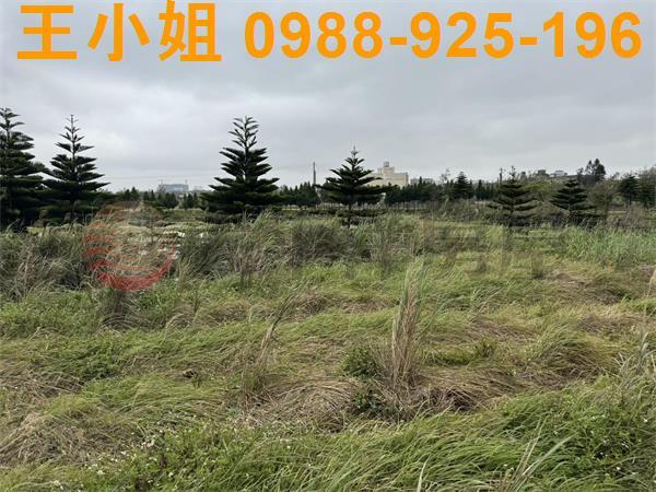 大園農地-15