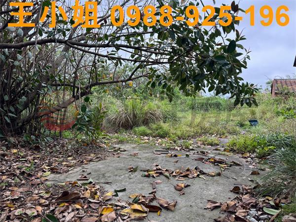 大園農地-1