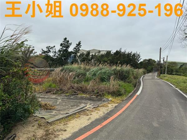 大園農地-4