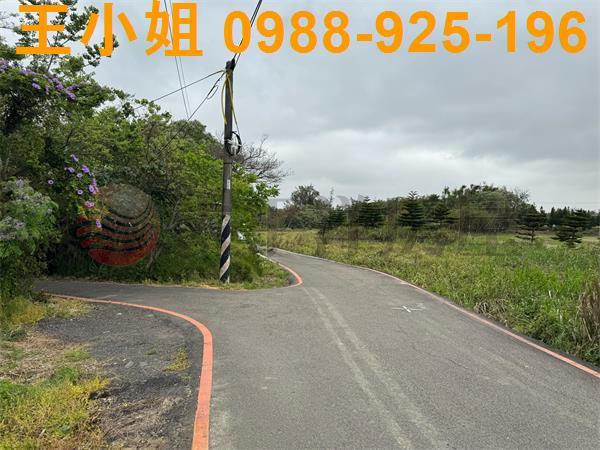 大園農地-5