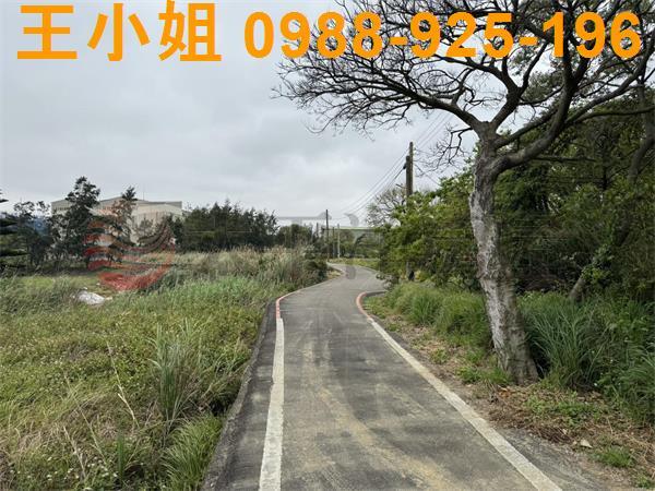大園農地-6