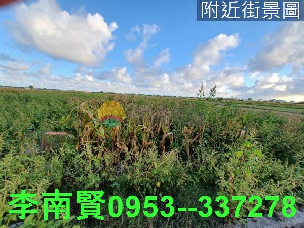 西港農地-3
