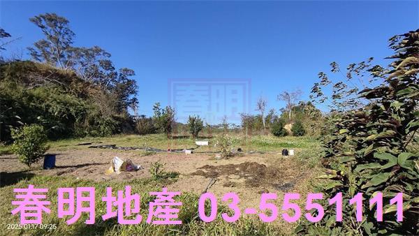 新竹農地-13