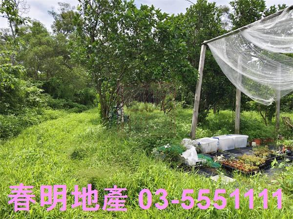 新竹農地-2