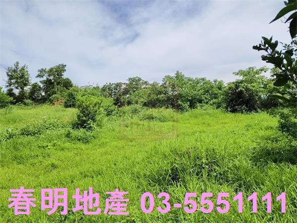 新竹農地-3