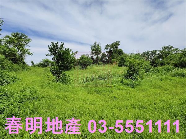 新竹農地-5