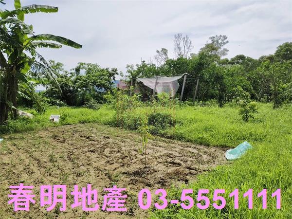 新竹農地-8