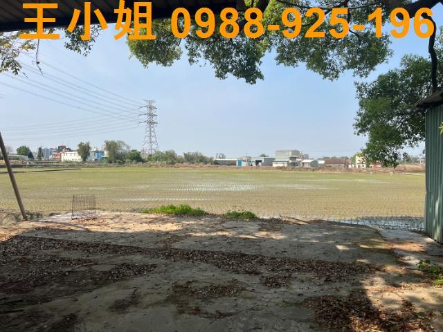桃園農地-2