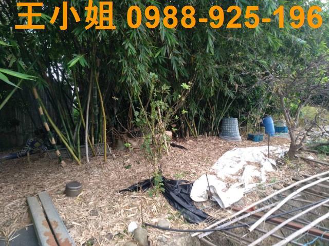 桃園農地-3
