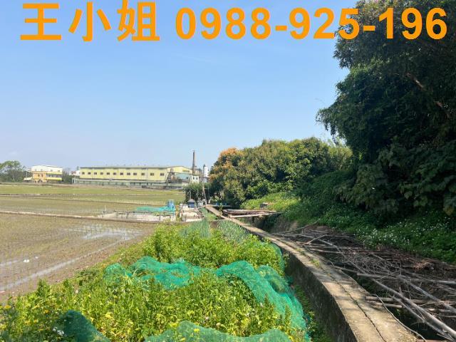 桃園農地-6