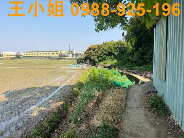 桃園農地-7