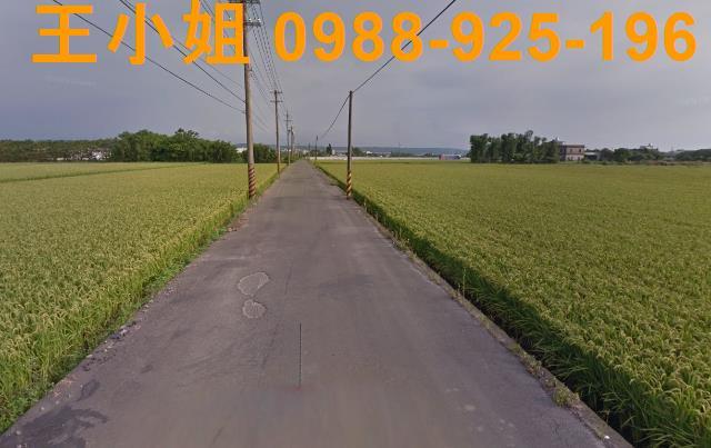 桃園農地-5
