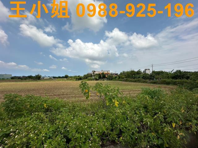 桃園農地-6