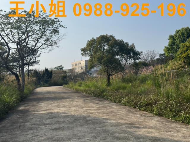 桃園龍潭農地-2
