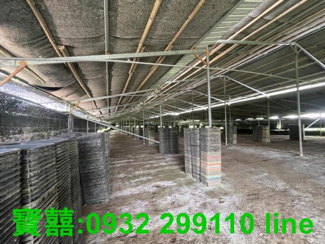 台中新社農地-3