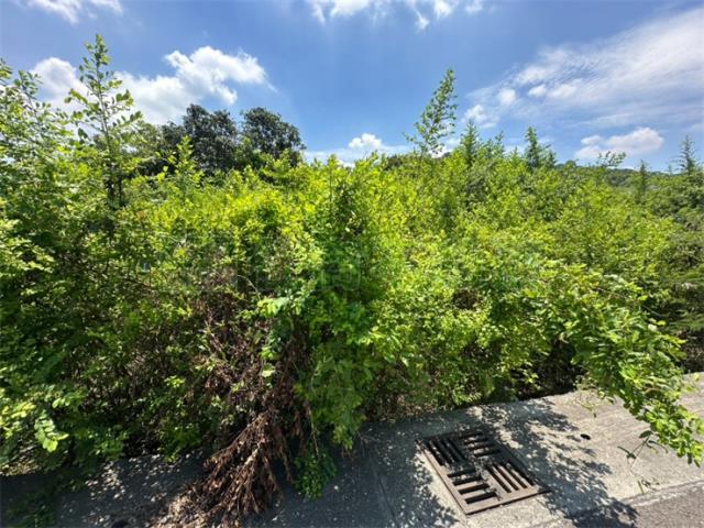 高雄岡山農地-5
