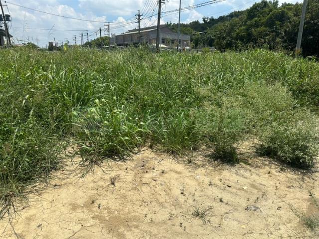 高雄岡山農地-7