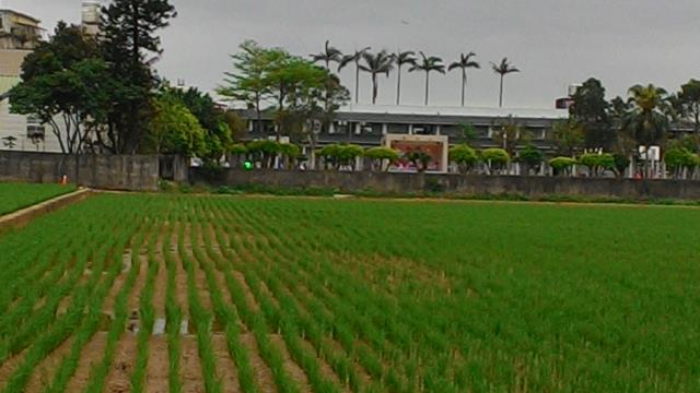 中壢農地-4