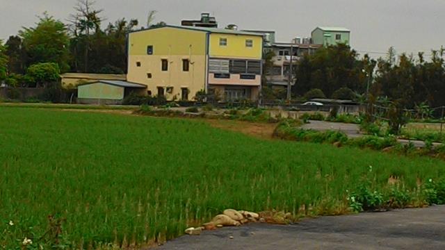 中壢農地-2