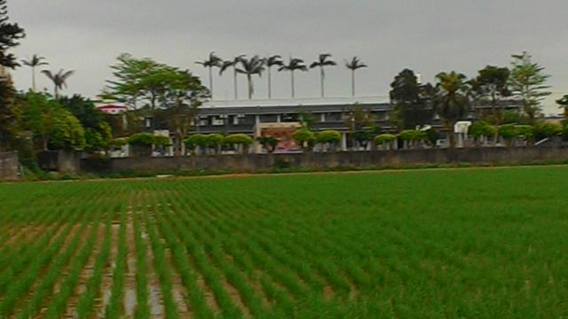 中壢農地-5