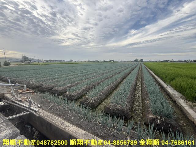 埔鹽農地-1