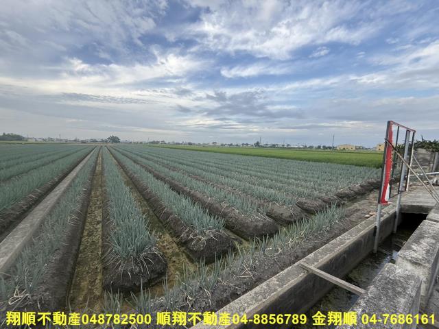 埔鹽農地-3