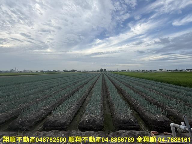 埔鹽農地-6