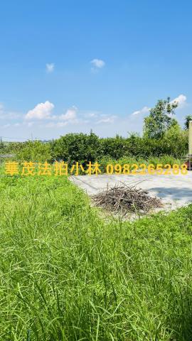 台南農地-11