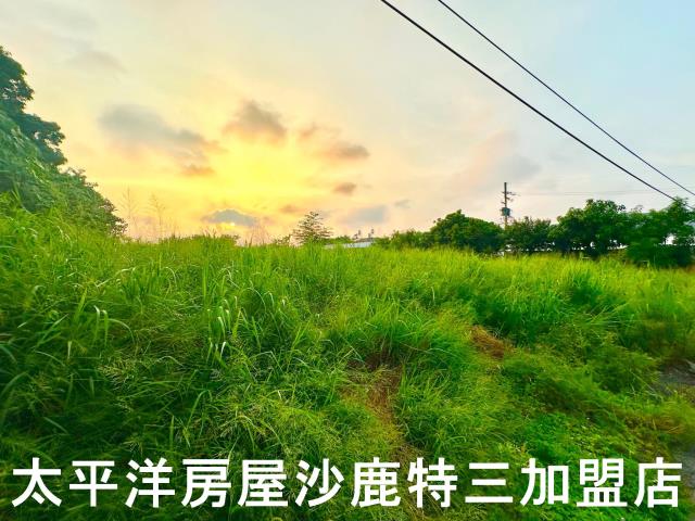 台中保護區-2