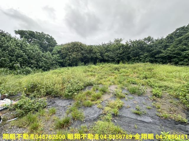 彰化埤頭建地-1