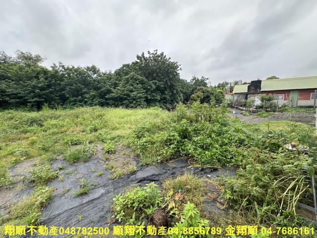 彰化埤頭建地-2