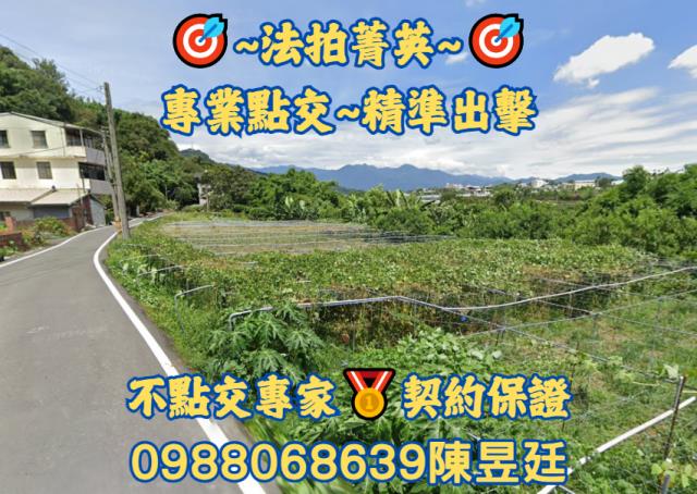台中東勢法拍農地-1