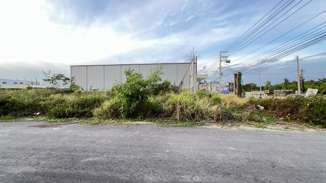 高雄燕巢農地-4