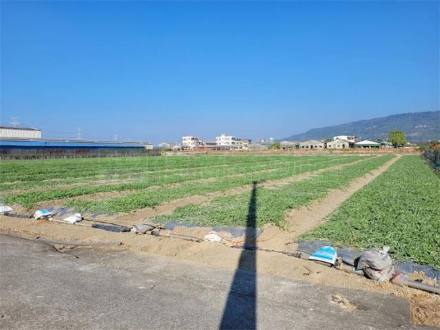 阿蓮農地-4