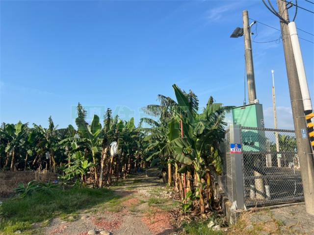 旗山農地-3